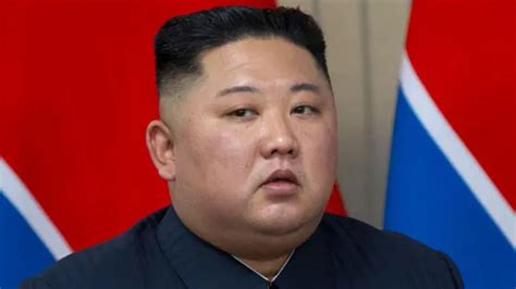 social article txepc|Coreia do Norte: o que é songbun, o modelo social que .
